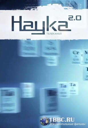 Наука 2.0. Программа на будущее (2011) постер