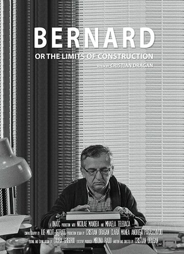 Bernard or the Limits of Construction (2016)